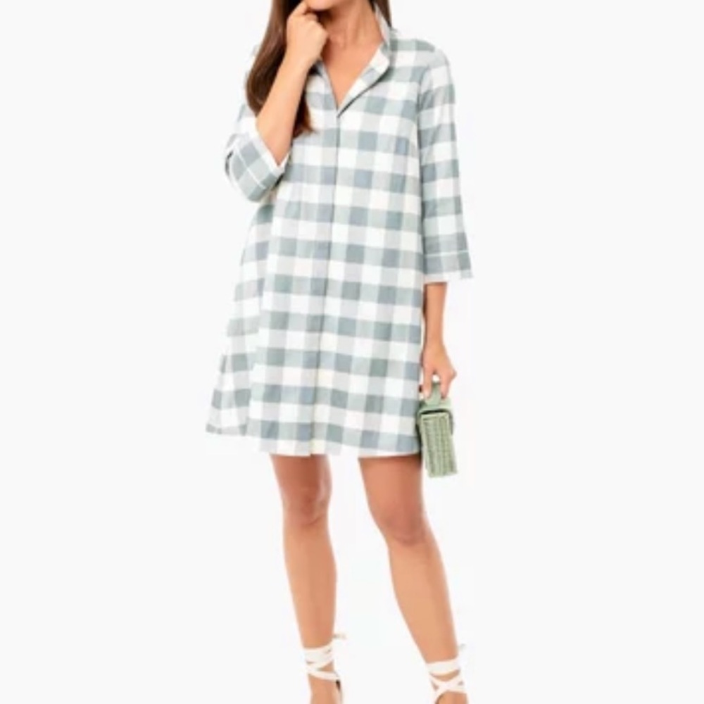Tuckernuck sage gingham Charlie dress
